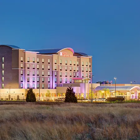 Hilton Garden Inn Dallas/Arlington South-3