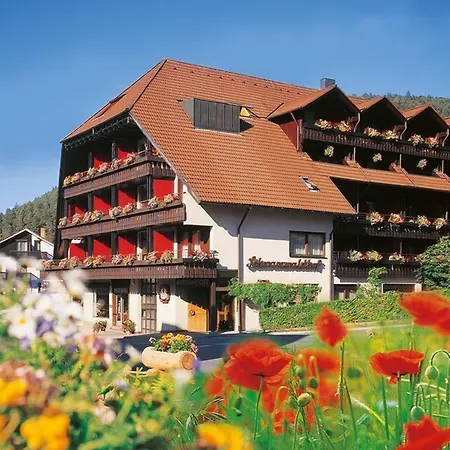 Hotel Schwarzwaldhof-3