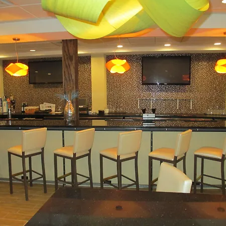 Holiday Inn - Fort Myers - Downtown Area By Ihg-3