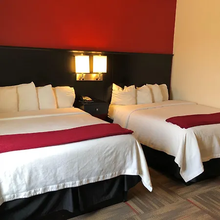 Black Gold Suites-2