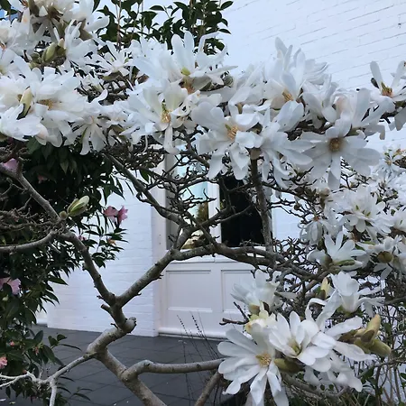 Boscobel Of Tasmania-3