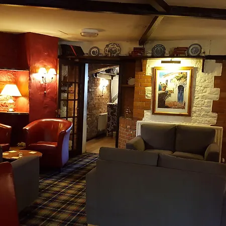 The Walnut Tree-3