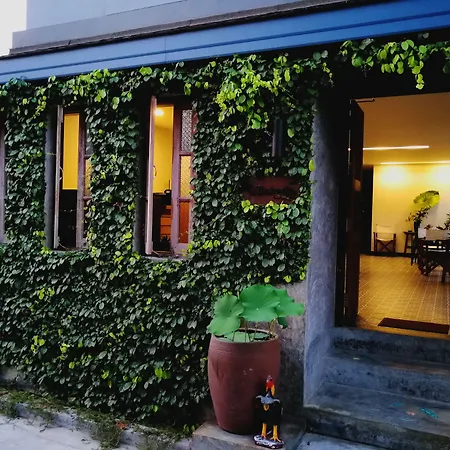 The Umbrella House-2