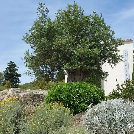 Hotel Cala Di L'Oru-3