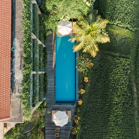 Byasa Ubud-3