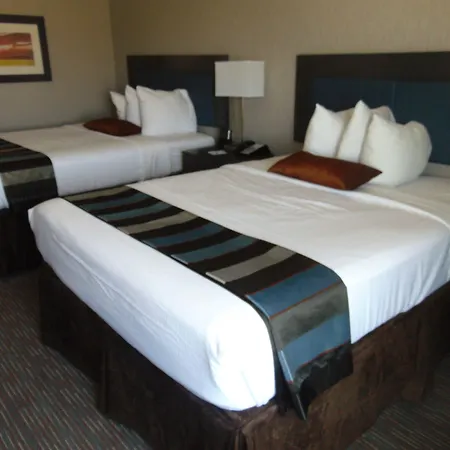 Wingate By Wyndham Lubbock-2