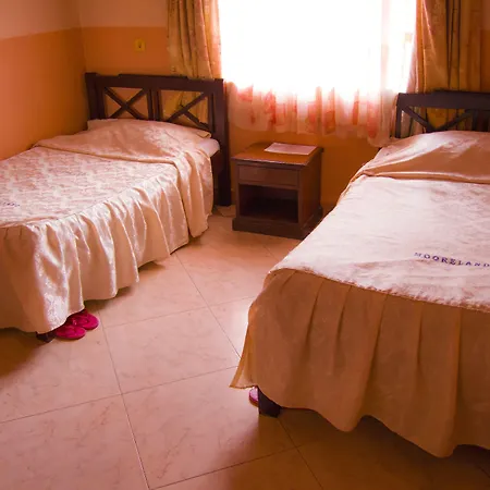 Mooreland Hotel-2