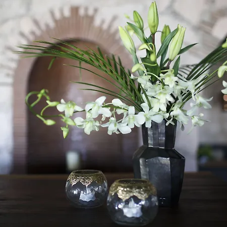 Maja Hotel Boutique-3