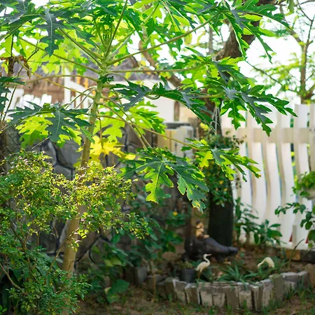 An Bang Beach Nature Homestay-2