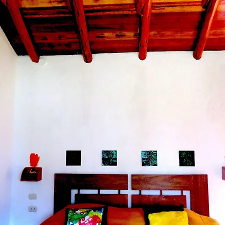 Birds Hotel Molino-2
