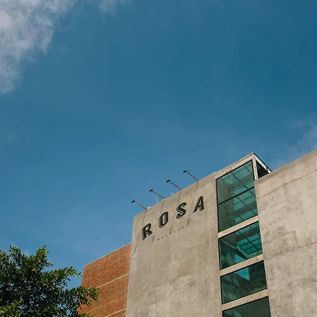 Rosa Malacca-2