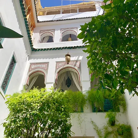 Riad 11 Zitoune-3