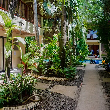 Alona Vida Beach Resort-2