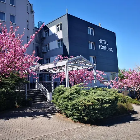 Hotel Fortuna Reutlingen-Tuebingen-3