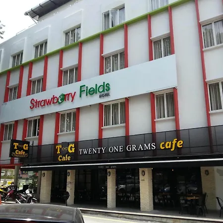 Hotel Strawberry Fields-3