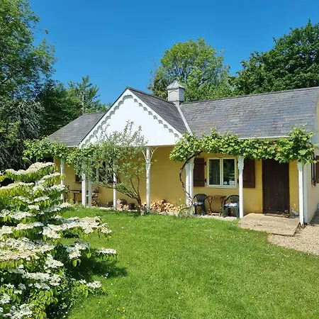 Glyndwr Vineyard-2
