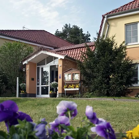 Hotel Zum Leineweber-3