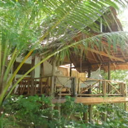 Viking Nature Resort-2