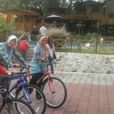 Borneo Tree House-2
