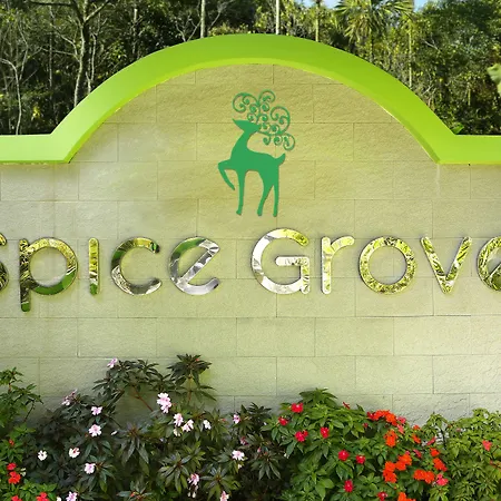 Spice Grove-2