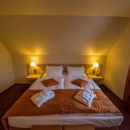 Kur Und Wellnesshaus Spreebalance, The Originals Relais-3