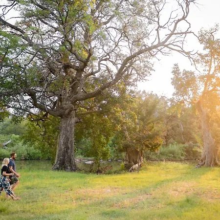 Rukiya Safari Camp-2