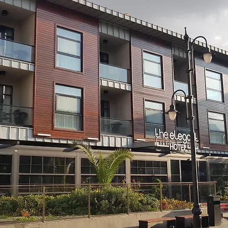 The Elegant Hotel-2