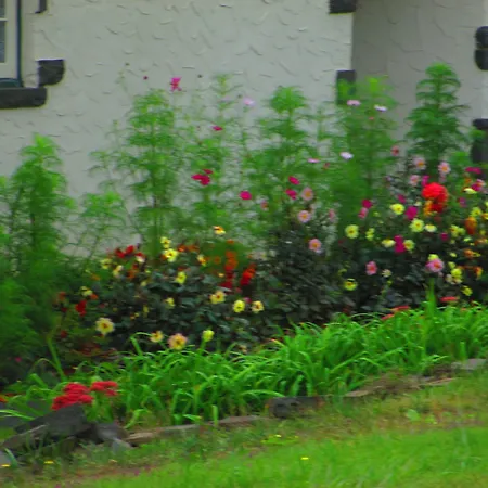 Georgian Garden-2