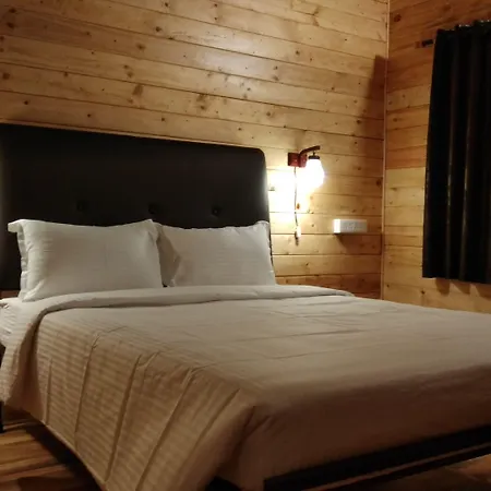Lazy Frog Guest House-3