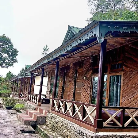 The Nettle And Fern Farmstay-2