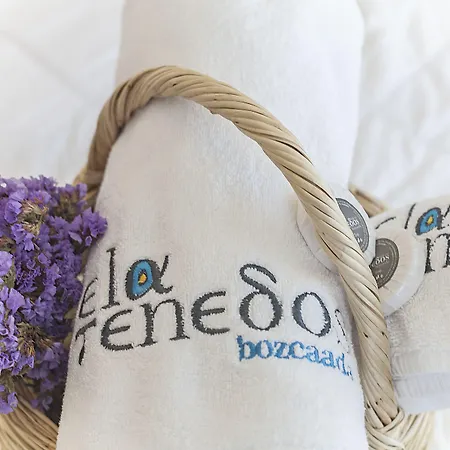 Ela Tenedos Hotel - Special Category (Adults Only)-3