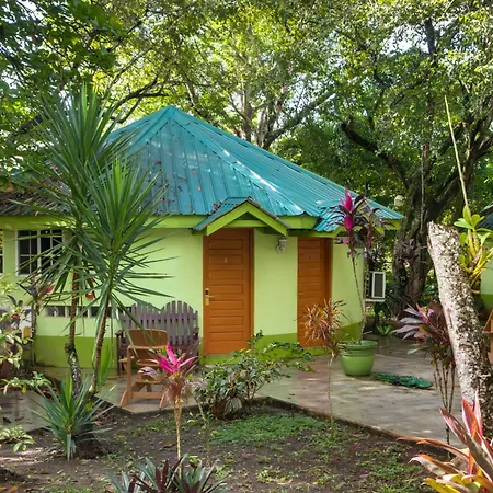 Midas Belize-2