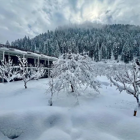 Rare House-2