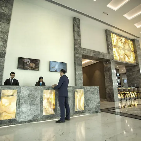 Dedeman Tokat-3