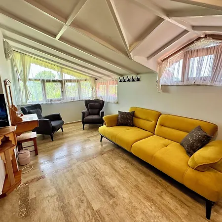 Bahaus Resort-2