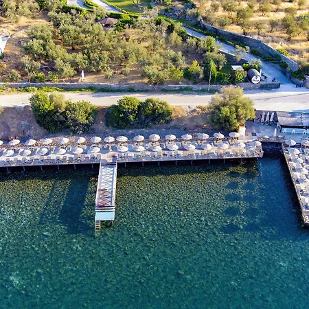 Assos Dionysos Hotel Special Class - Adults Only-2