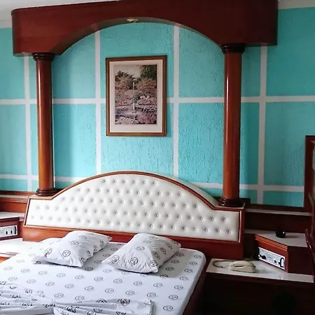 North Palace Hotel-3