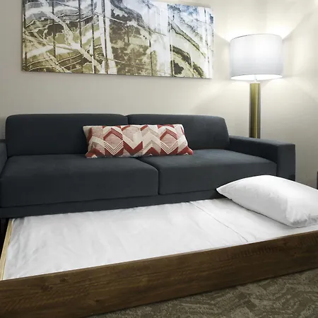 Springhill Suites By Marriott Kansas City Lenexa/City Center-3