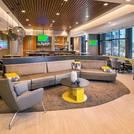 Springhill Suites By Marriott Gainesville Haymarket-3