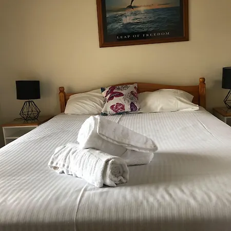 Squid'S Ink Motel-3