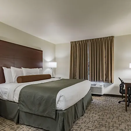 Cobblestone Inn & Suites - Lamoni-3