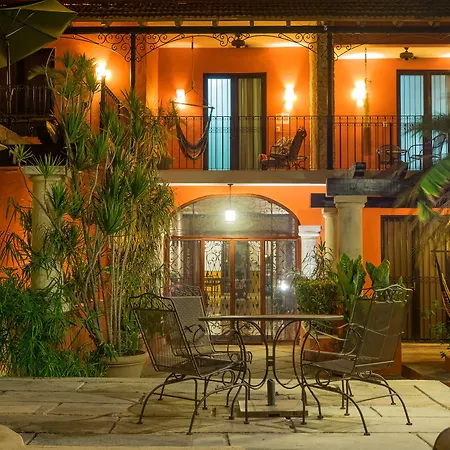 Hotel Luz En Yucatan-3