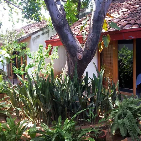 Hotel Il Padrino-3