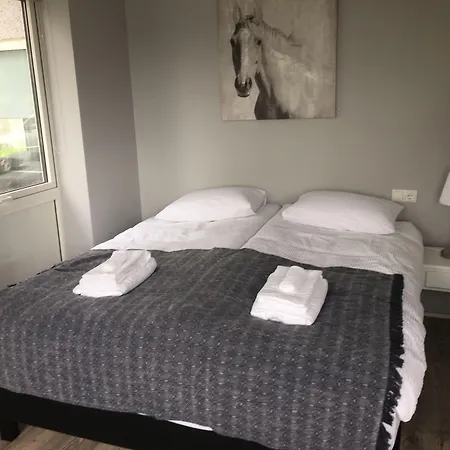 Reykjadalur Guesthouse-2