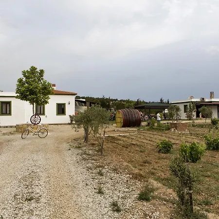 Bagban Bozcaada-3