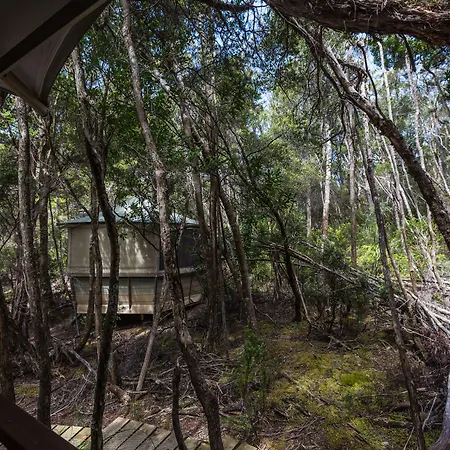 Southwest Wilderness Camp - Tasmania-2
