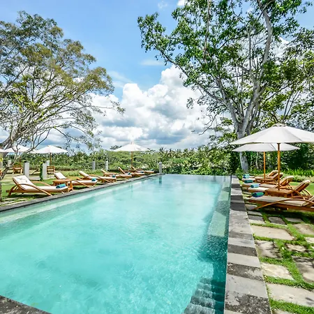 The Pandora Hotel-2