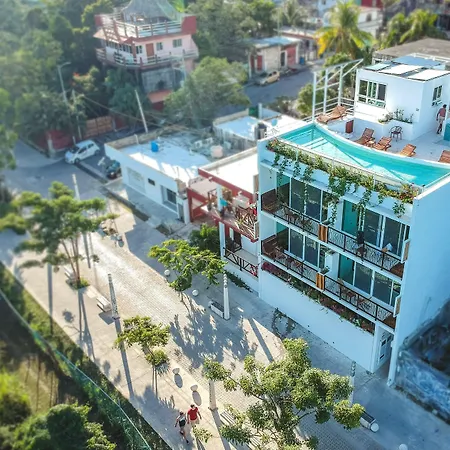 Ocean Zen Suites On 5Th Avenue - Adults Only-3