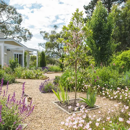Haven Red Hill-2