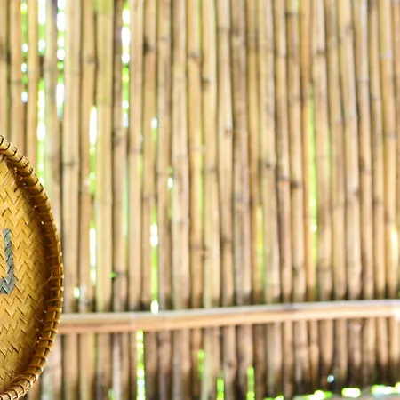 Under The Coconut Tree Hoi An-3